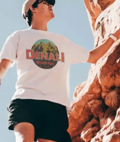 Men Nayked Apparel Shirts>Men'S Ridiculously Soft Midweight Graphic Tee | Denali National Park