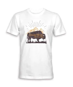 Men Nayked Apparel Shirts>Men'S Ridiculously Soft Midweight Graphic Tee | Grand Teton National Park